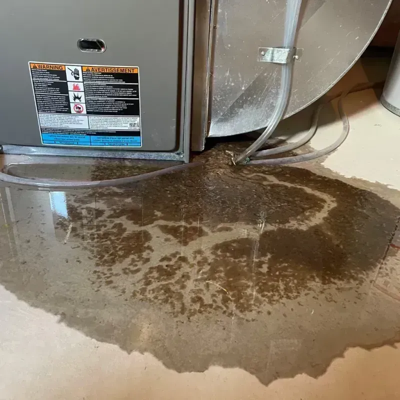 Appliance Leak Cleanup in Wilmington, IL